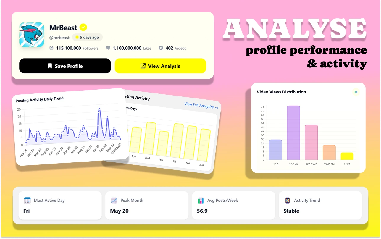 TikTok Profile Analyzer Dashboard - Analytics Overview